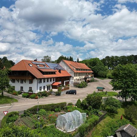 Appartamento Haus Schlageter Dachsberg im Schwarzwald Esterno foto