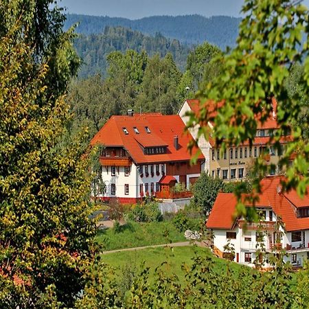Appartamento Haus Schlageter Dachsberg im Schwarzwald Esterno foto