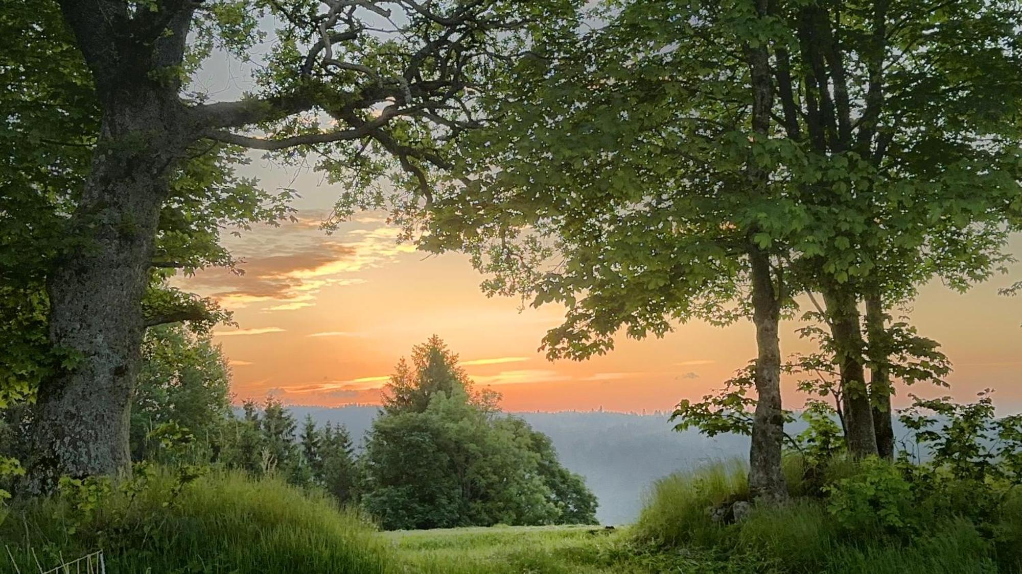 Appartamento Haus Schlageter Dachsberg im Schwarzwald Esterno foto