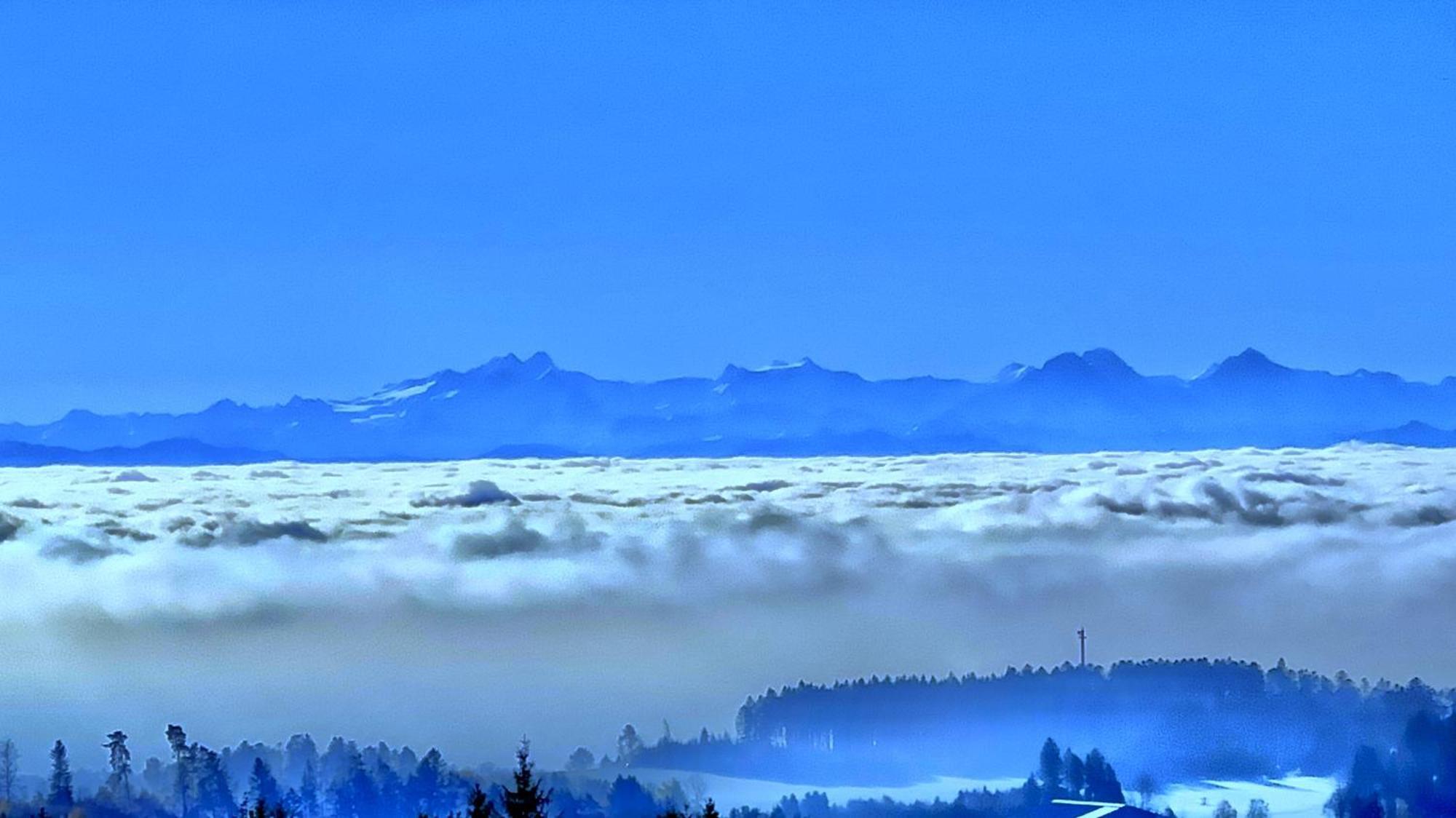 Appartamento Haus Schlageter Dachsberg im Schwarzwald Esterno foto