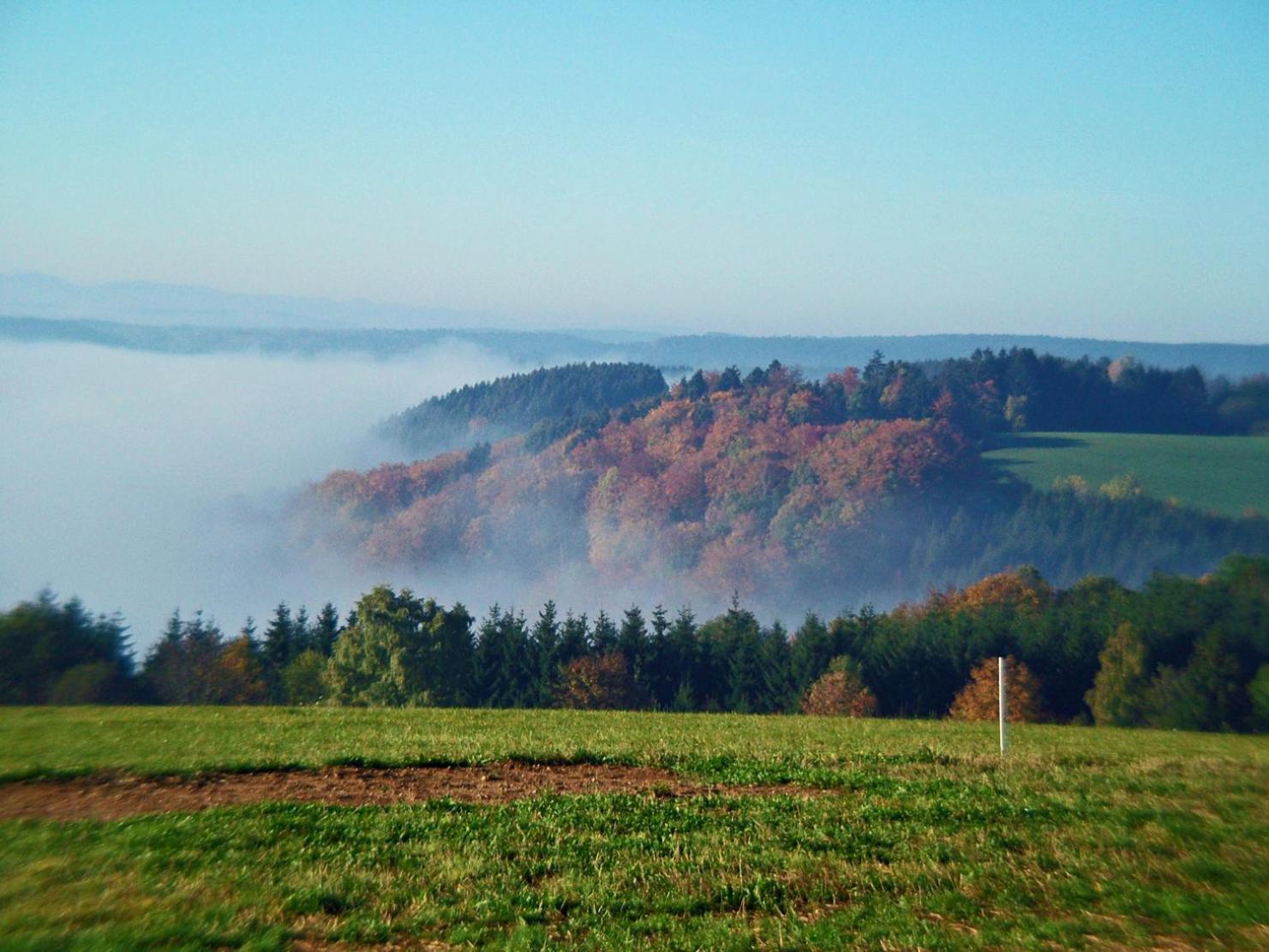 Appartamento Haus Schlageter Dachsberg im Schwarzwald Esterno foto
