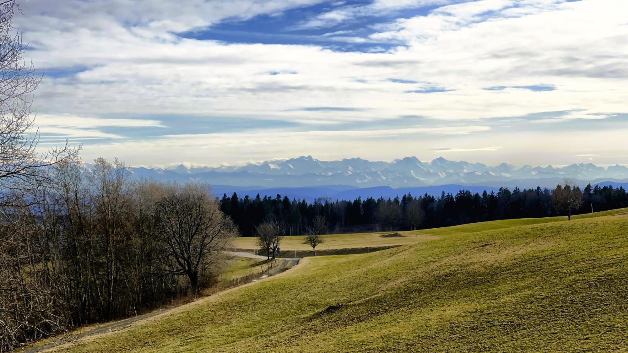 Appartamento Haus Schlageter Dachsberg im Schwarzwald Esterno foto