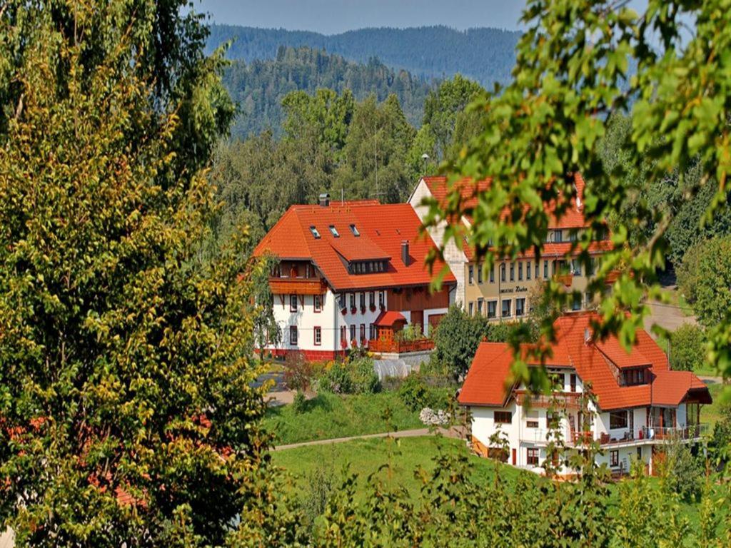 Appartamento Haus Schlageter Dachsberg im Schwarzwald Esterno foto